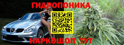 шишки Добрянка