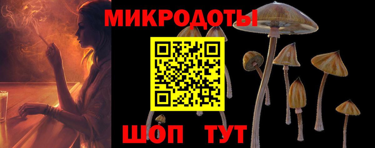 Галлюциногенные грибы Magic Shrooms  Вход с VPN  Заволжье 